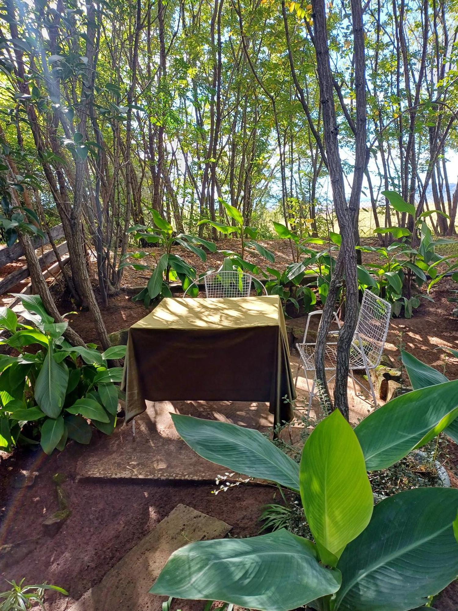 Affi Lande Boetiek Guestfarm Villa Fouriesburg Bagian luar foto