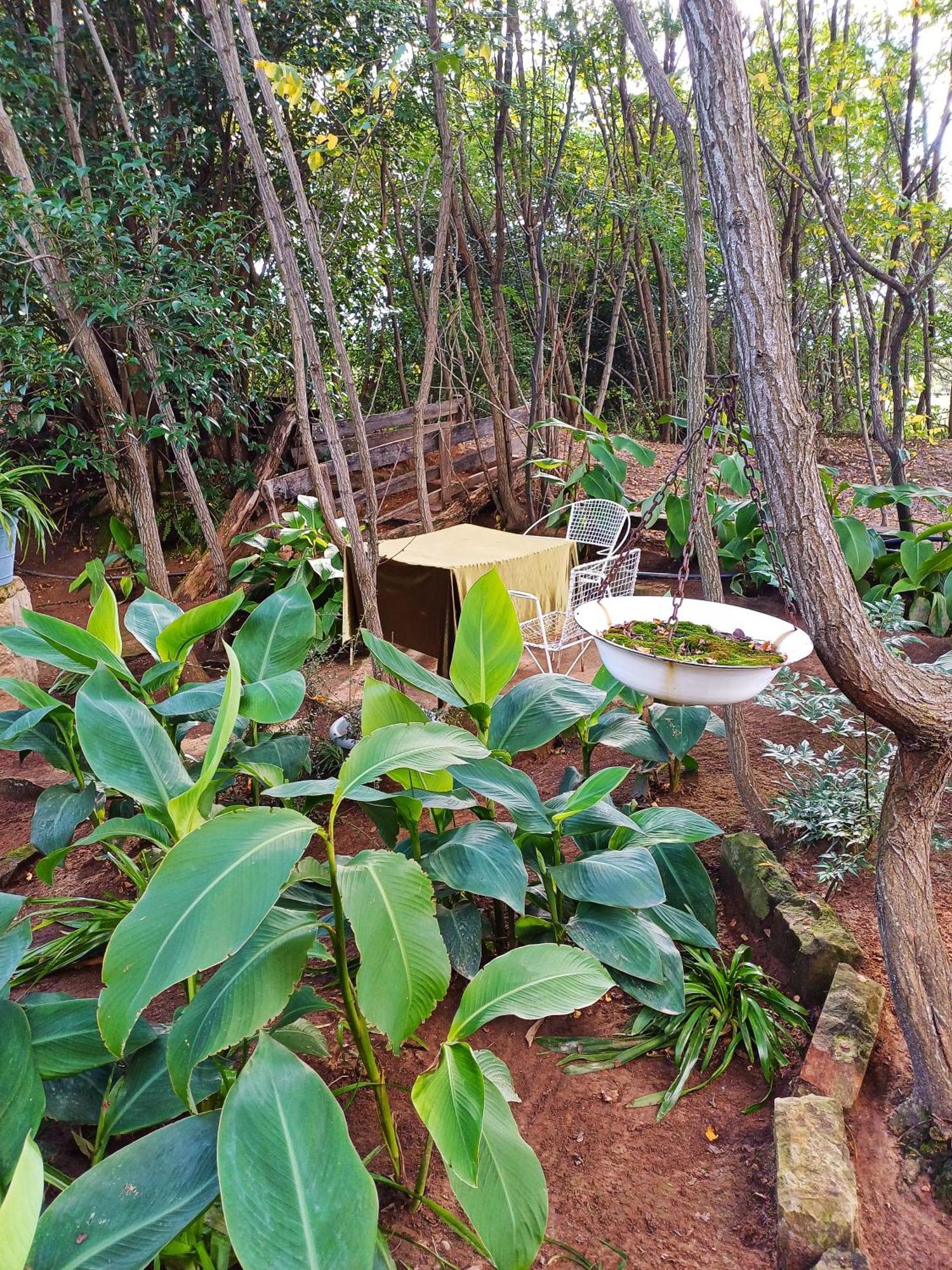 Affi Lande Boetiek Guestfarm Villa Fouriesburg Bagian luar foto
