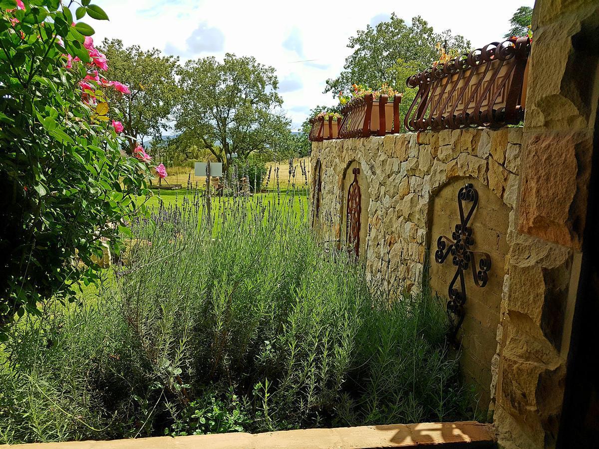 Affi Lande Boetiek Guestfarm Villa Fouriesburg Bagian luar foto
